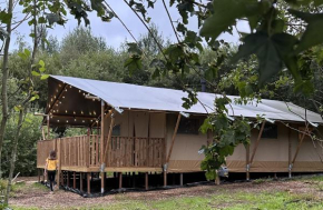 Cherry Tree Safari Lodge